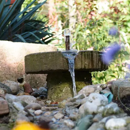 ベッド・アンド・ブレックファスト Romantik-pension Vogt