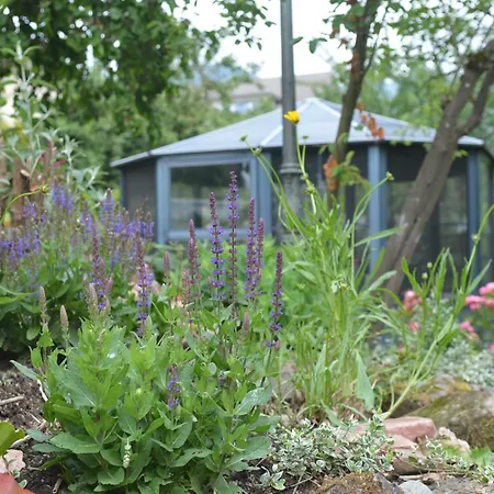 Romantik-pension Vogt オフェンブルク