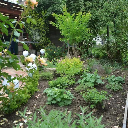 Romantik-pension Vogt ベッド・アンド・ブレックファスト