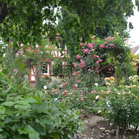 ベッド・アンド・ブレックファスト Romantik-pension Vogt オフェンブルク