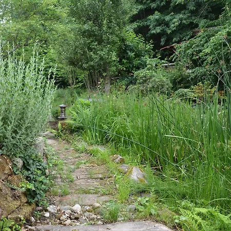 Bed & Breakfast Romantik-pension Vogt 3*