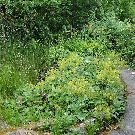 Romantik-pension Vogt Bed & Breakfast 3*