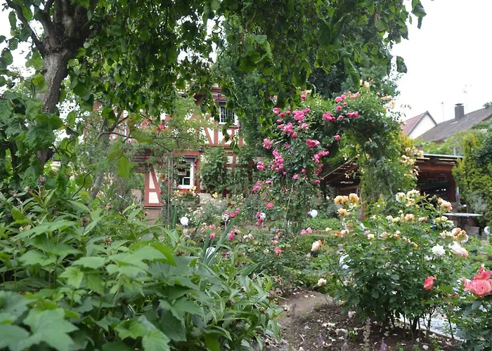 Couette-café Romantik-pension Vogt Offenbourg