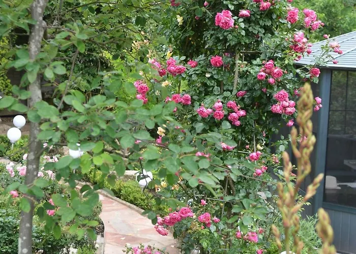 Romantik-pension Vogt 3* Offenbourg