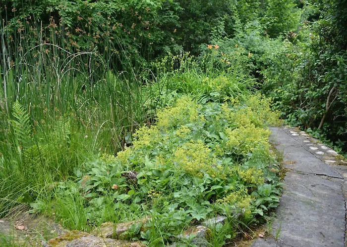 Romantik-pension Vogt Couette-café 3*