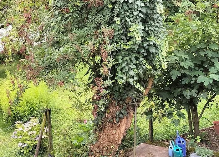 Romantik-pension Vogt Couette-café